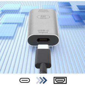 Avizar Adaptateur USB-C femelle vers HDMI femelle 4K Design Compact Argent