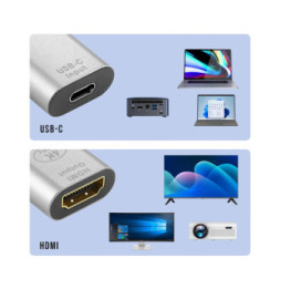 Avizar Adaptateur USB-C femelle vers HDMI femelle 4K Design Compact Argent