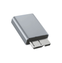 Avizar Adaptateur USB-C femelle vers Micro B mâle Charge Synchronisation Compact Gris