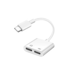 Avizar Adaptateur USB-C Mâle vers Double USB-C Femelle Audio et Charge Compact Blanc