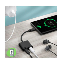 Avizar Adaptateur USB-C Mâle vers Double USB-C Femelle Audio et Charge Compact Noir