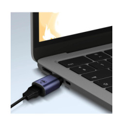 Avizar Adaptateur USB-C vers Ethernet Débit 100Mbps Design Compact Gris Foncé