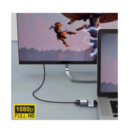Avizar Adaptateur Vidéo USB-C Mâle vers VGA Femelle Résolution 1080p Compact Gris
