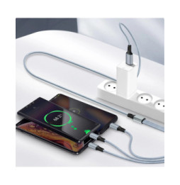 Avizar Câble 3 en 1 vers USB-C MicroUSB et Lightning Charge Rapide 1,2m Nylon Tressé