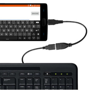 Avizar Cable adaptateur USB OTG Femelle vers USB Type C Male