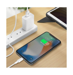 Avizar Cable Lightning Charge et Transfert De Données Intensité 1A Longueur 1.5m Blanc