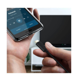 Avizar Câble USB Type C vers HDMI Mâle Résolution 4K UHD 2m Noir