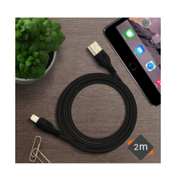 Avizar Câble USB Vers Lightning Charge Synchronisation 2m Anti-nœuds Noir