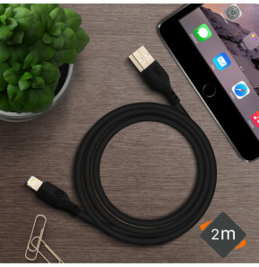 Avizar Câble USB Vers Lightning Charge Synchronisation 2m Anti-nœuds Noir