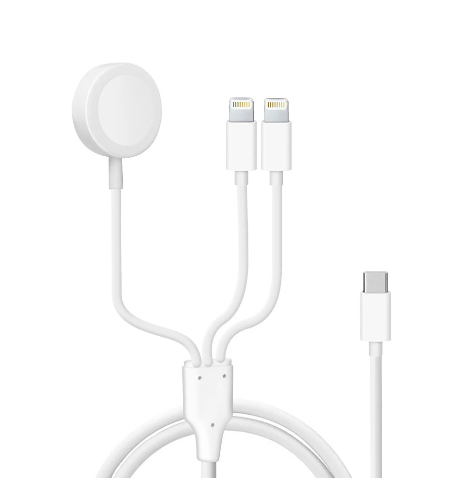 Avizar Câble USB-C vers 2x Lightning et Chargeur Magnétique Intensité 2A Blanc
