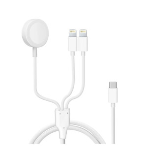 Avizar Câble USB-C vers 2x Lightning et...
