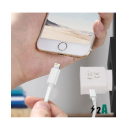 Avizar Câble USB-C vers 2x Lightning et Chargeur Magnétique Intensité 2A Blanc