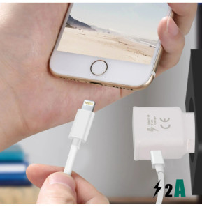 Avizar Câble USB-C vers 2x Lightning et Chargeur Magnétique Intensité 2A Blanc