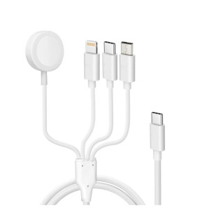 Avizar Câble USB-C vers Lightning, micro-USB,...