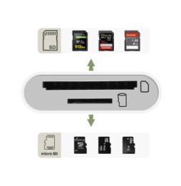 Avizar Lecteur Carte Universel pour micro SD SD TF, Adaptateur USB-C - Blanc