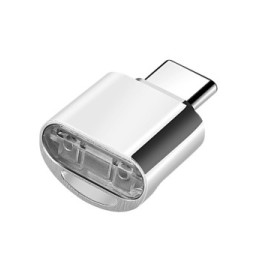 Avizar Mini Lecteur Carte micro SD et TF, Adaptateur USB-C 3.1 Argent