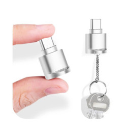 Avizar Mini Lecteur Carte micro SD et TF, Adaptateur USB-C 3.1 Argent