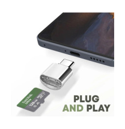 Avizar Mini Lecteur Carte micro SD et TF, Adaptateur USB-C 3.1 Argent