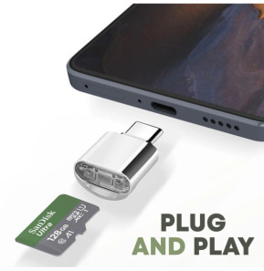 Avizar Mini Lecteur Carte micro SD et TF, Adaptateur USB-C 3.1 Argent
