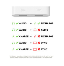 Belkin Adaptateur Lightning vers 2 x Lightning MFI