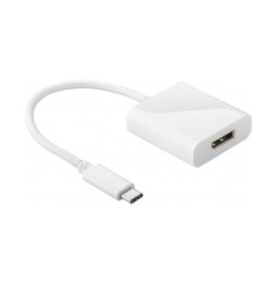 Adaptateur USB 3.1 type C vers DisplayPort