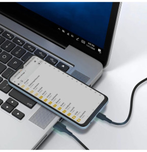 Blue Star Câble de Charge et Synchronisation USB vers Micro USB Noir