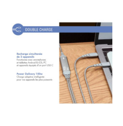 Force Power Câble Duo USB-C vers USB-C 100W 5A Ultra-Renforcé Charge et Synchronisation 2m Gris