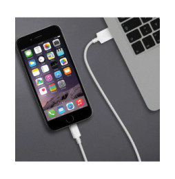 Inkax Câble Lightning 3m Câble USB vers Lightning Charge Synchronisation 2.1A