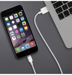 Inkax Câble Lightning 3m Câble USB vers Lightning Charge Synchronisation 2.1A