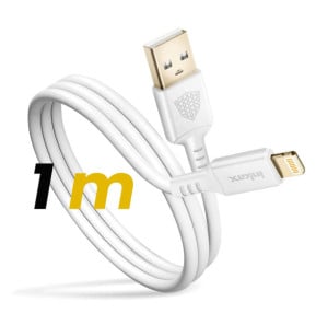 Inkax Câble pour iPhone USB vers Lightning Recharge Rapide Blanc