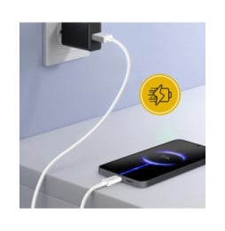 Inkax Câble USB vers USB C Recharge et Synchronisation 1m Blanc