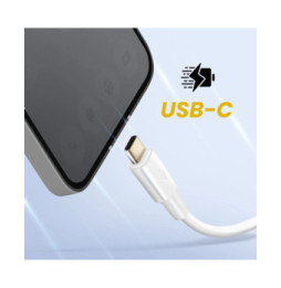 Inkax Câble USB vers USB C Recharge et Synchronisation 2m Blanc