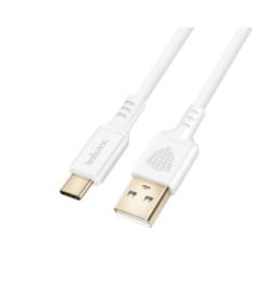 Inkax Câble USB vers USB C Recharge et Synchronisation Rapide Blanc