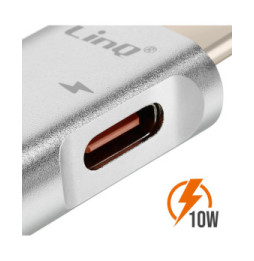 LinQ Adaptateur OTG USB et USB C vers USB C Compact Argent