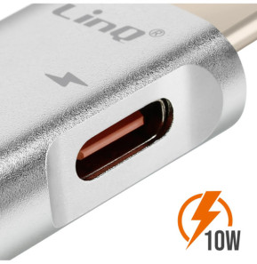 LinQ Adaptateur OTG USB et USB C vers USB C Compact Argent