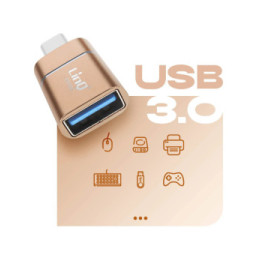 LinQ Adaptateur OTG USB vers USB C Compact et Pratique Dorée