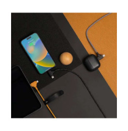 Native Union ECO Belt Câble universal USB-C vers USB-C/Lightning 1.8m Zebra