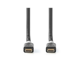 Nedis Câble USB-C Mâle vers USB-C Mâle 100W 20 Gbps 4K 2m Noir