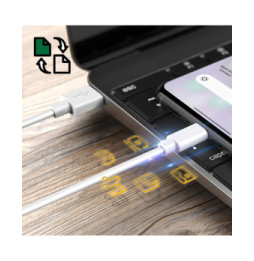 Oppo Câble Oppo USB vers USB-C Original Charge Rapide 3A et Sécurisée Blanc