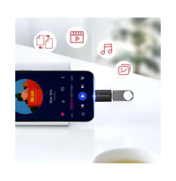 Swissten Adaptateur Apple Lightning vers USB-C Transfert de Données et Charge