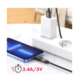 Swissten Adaptateur Apple Lightning vers USB-C Transfert de Données et Charge