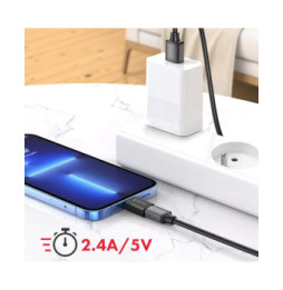 Swissten Adaptateur OTG Lightning vers USB Femelle Transfert de Données et Charge Swissten