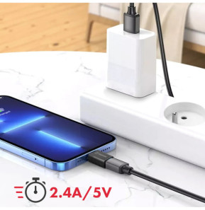 Swissten Adaptateur OTG Lightning vers USB Femelle Transfert de Données et Charge Swissten