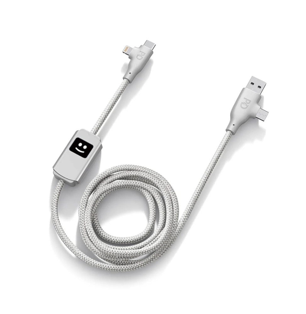 XOOPAR Câble de Charge et de Transfert 4 en 1 USB A+C / USB C+ Lightning Gris clair