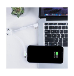 XOOPAR Câble USB-A vers Micro-USB et Ligthning JELLY 2A 10cm Format Porte-clés Blanc
