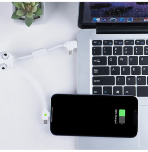 XOOPAR Câble USB-A vers Micro-USB et Ligthning JELLY 2A 10cm Format Porte-clés Blanc