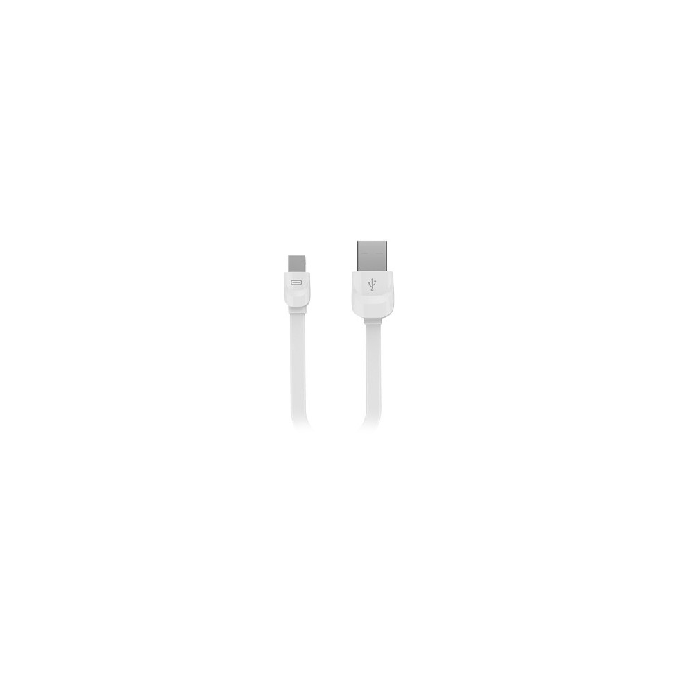 Câble CLUES Lightning vers USB pour iPhone, iPad ou iPod 1 mètre prix