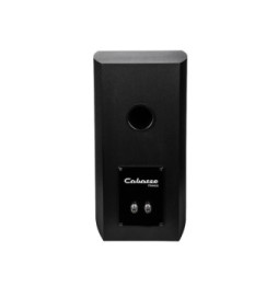 Cabasse Antigua MC170 Noir brossé