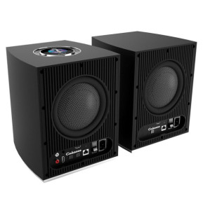 Cabasse Rialto Noir Satin + Rega Planar 1 Noir Mat
