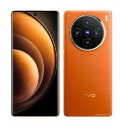 vivo X100